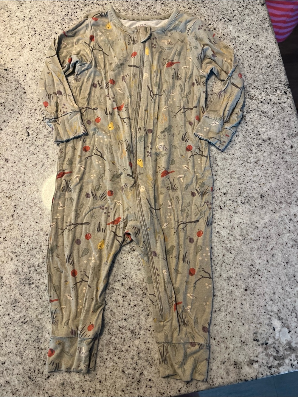 Modern moments pajama outfit 12 months baby